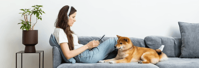 ¿Cómo introducir a una nueva mascota en casa? - Instinct México