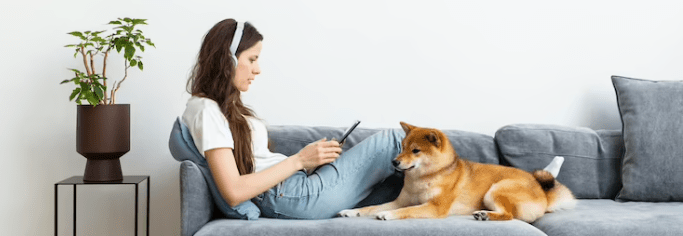 ¿Cómo introducir a una nueva mascota en casa? - Instinct México