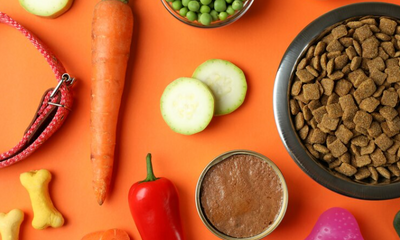 ¡Conoce nuestra historia! ¿Croquetas crudas o cocidas?