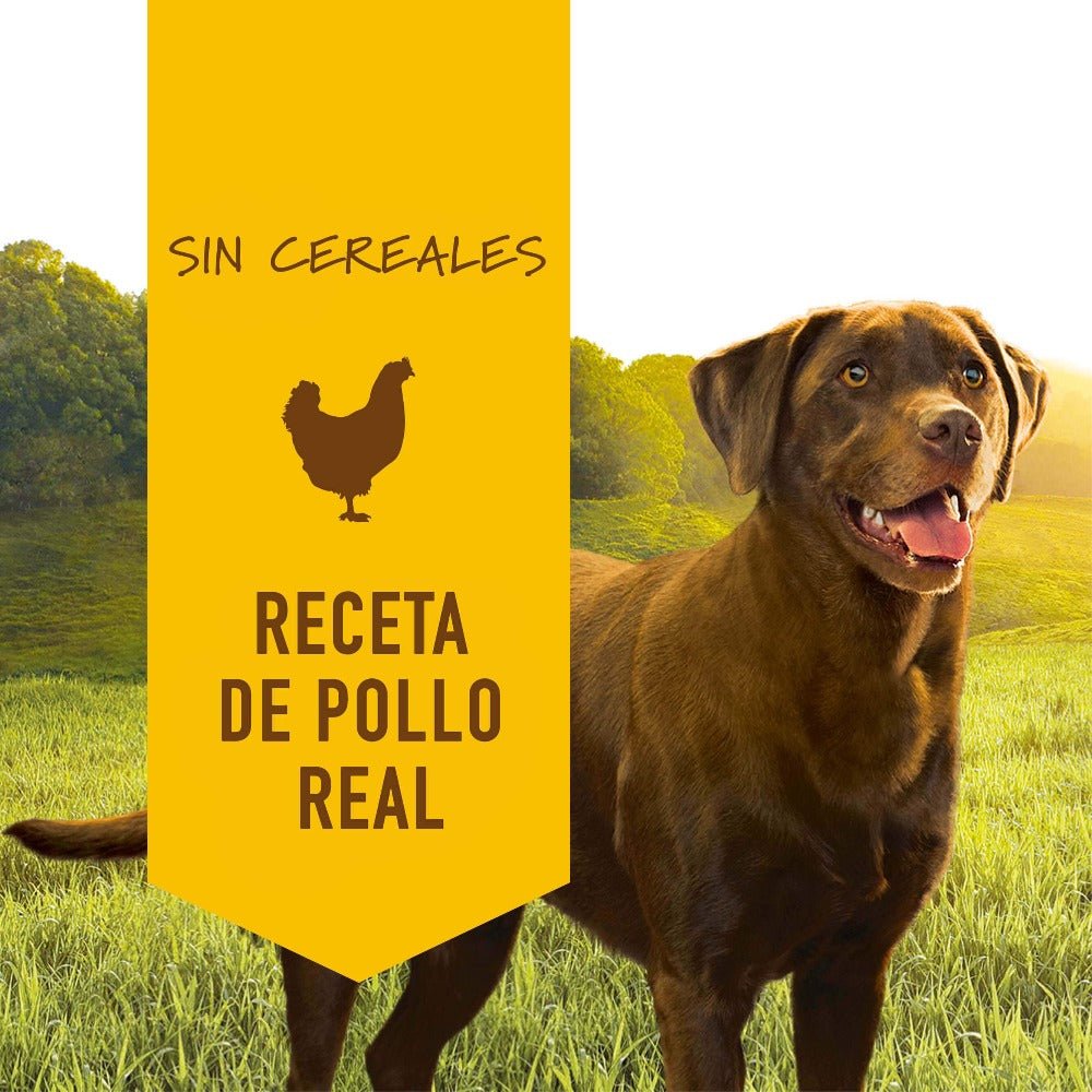 Instinct Original Alimento Húmedo para Perro, Receta de Pollo - Instinct México
