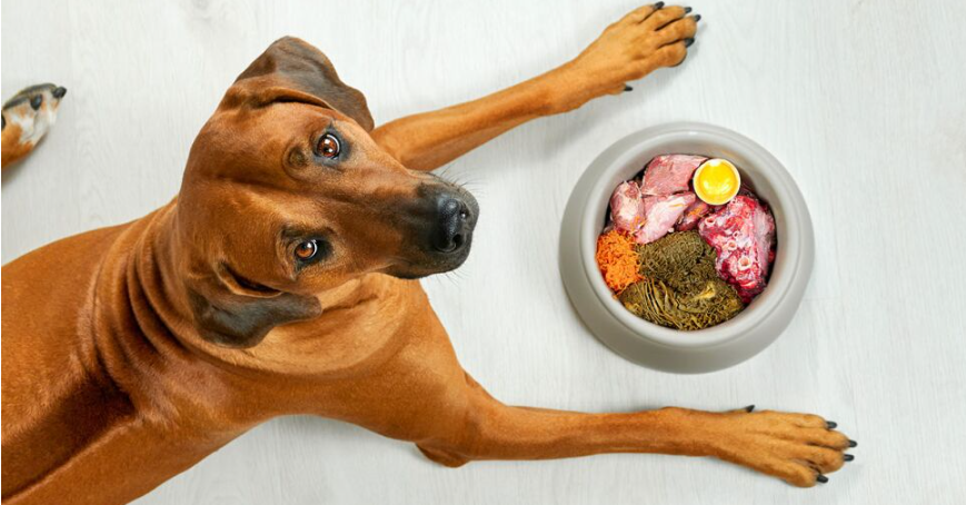 ¿Qué es la dieta BARF? Dieta BARF? Conoce sus ventajas y desventajas