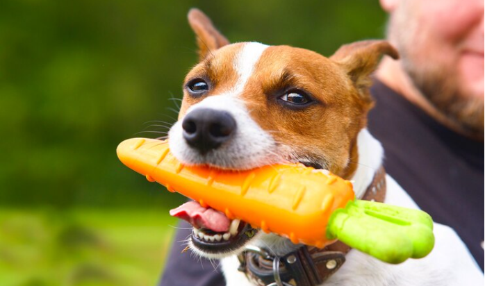 ¿Por qué debemos incluir frutas y verduras en la dieta de nuestras mascotas?