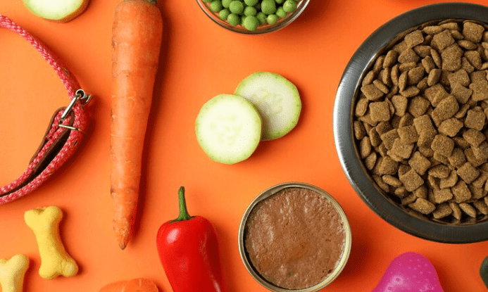 ¡Conoce nuestra historia! ¿Croquetas crudas o cocidas? - Instinct México