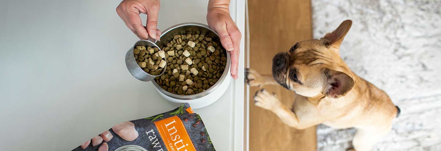 ¿Por qué elegir una dieta cruda para mi mascota?  - Instinct México