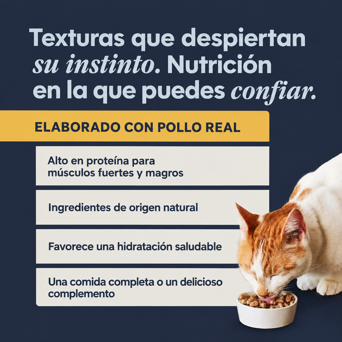 Instinct Alimento Húmedo para Gato Flaked Entrée Pollo 3 oz