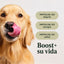 Alimento Para Perros Instinct Raw Boost de Res, Sin Granos - Instinct México