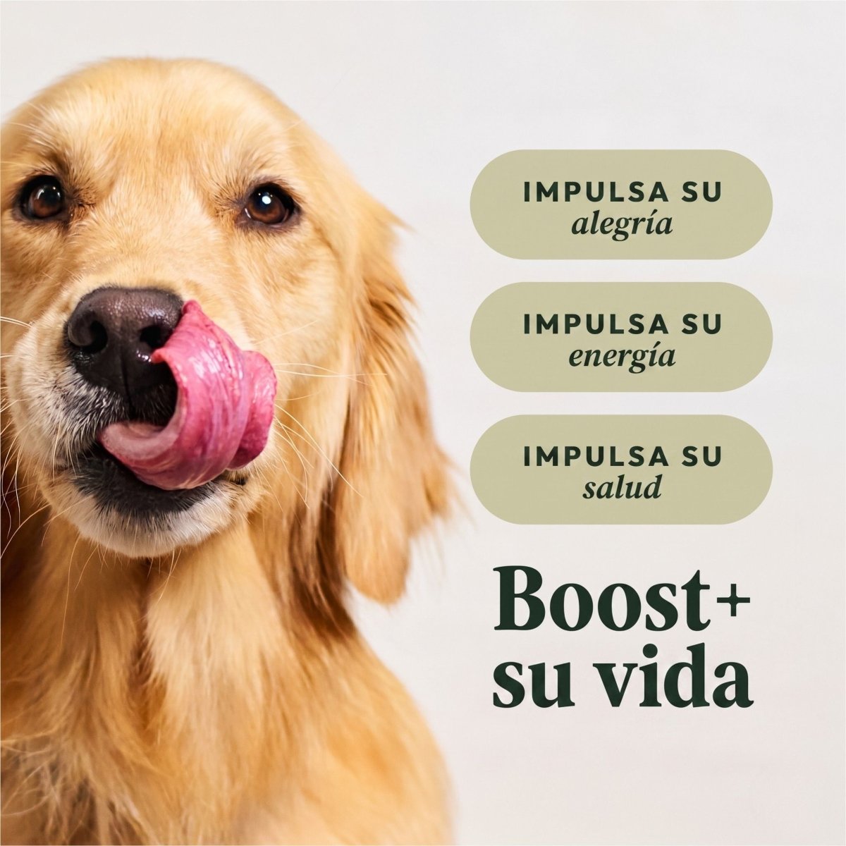 Alimento Para Perros Instinct Raw Boost, Sabor Salmón Sin Cereales - Instinct México