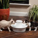 Fuente Petsafe Drinkwell Avalon de Cerámica
