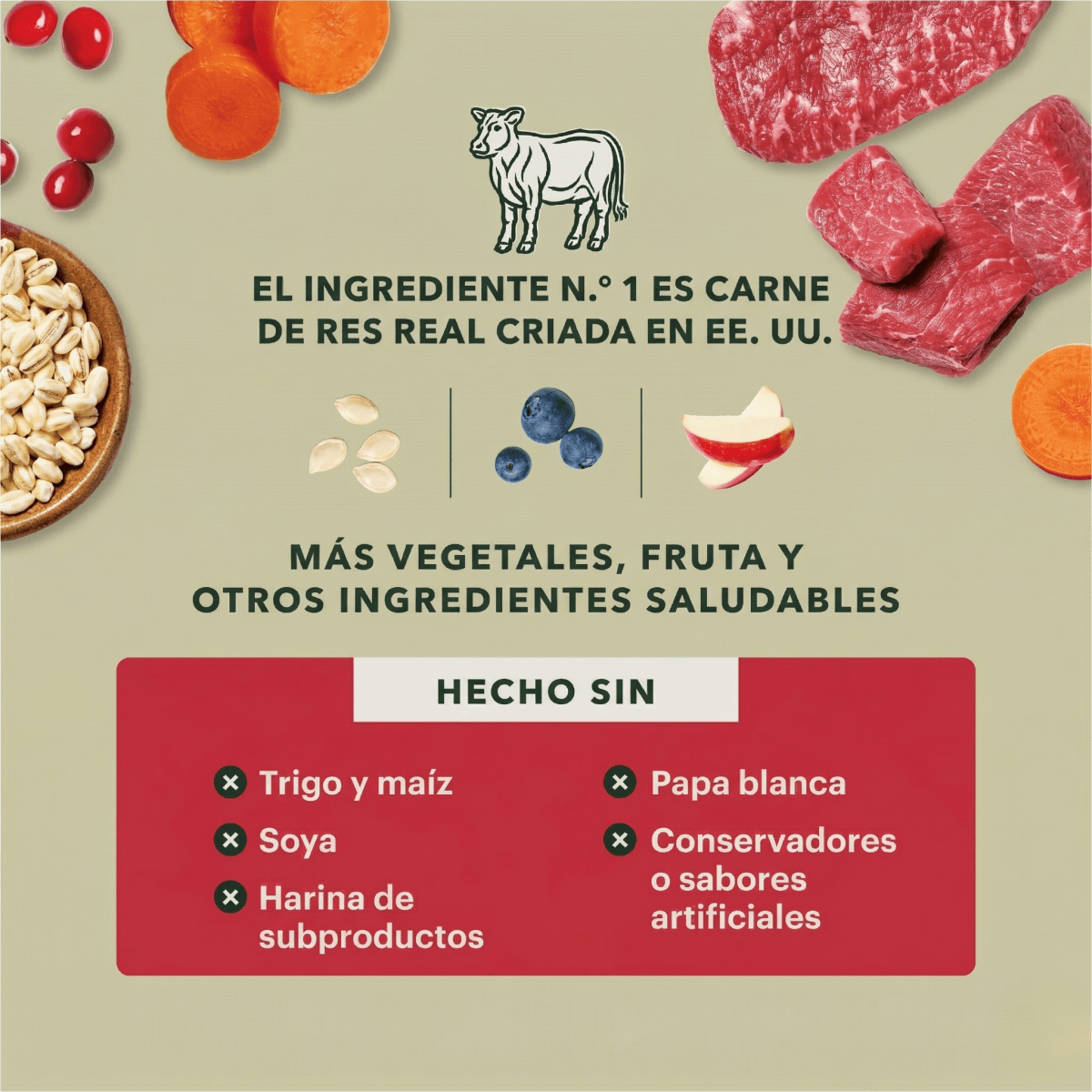 Instinct Raw Boost Alimento Seco para Perro Receta Res Real con Granos Integrales y Carne Cruda Liofilizada - Instinct México