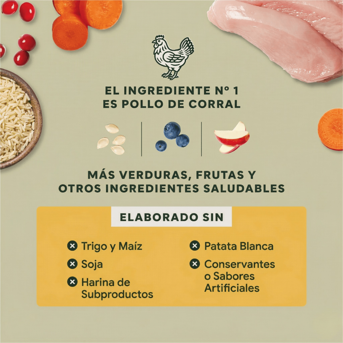 Instinct Raw Boost Croquetas para Cachorro, Receta de Pollo - Instinct México