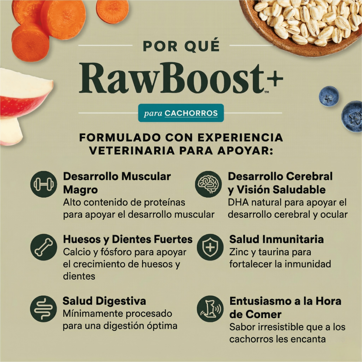 Instinct Raw Boost Croquetas para Cachorro, Receta de Pollo - Instinct México