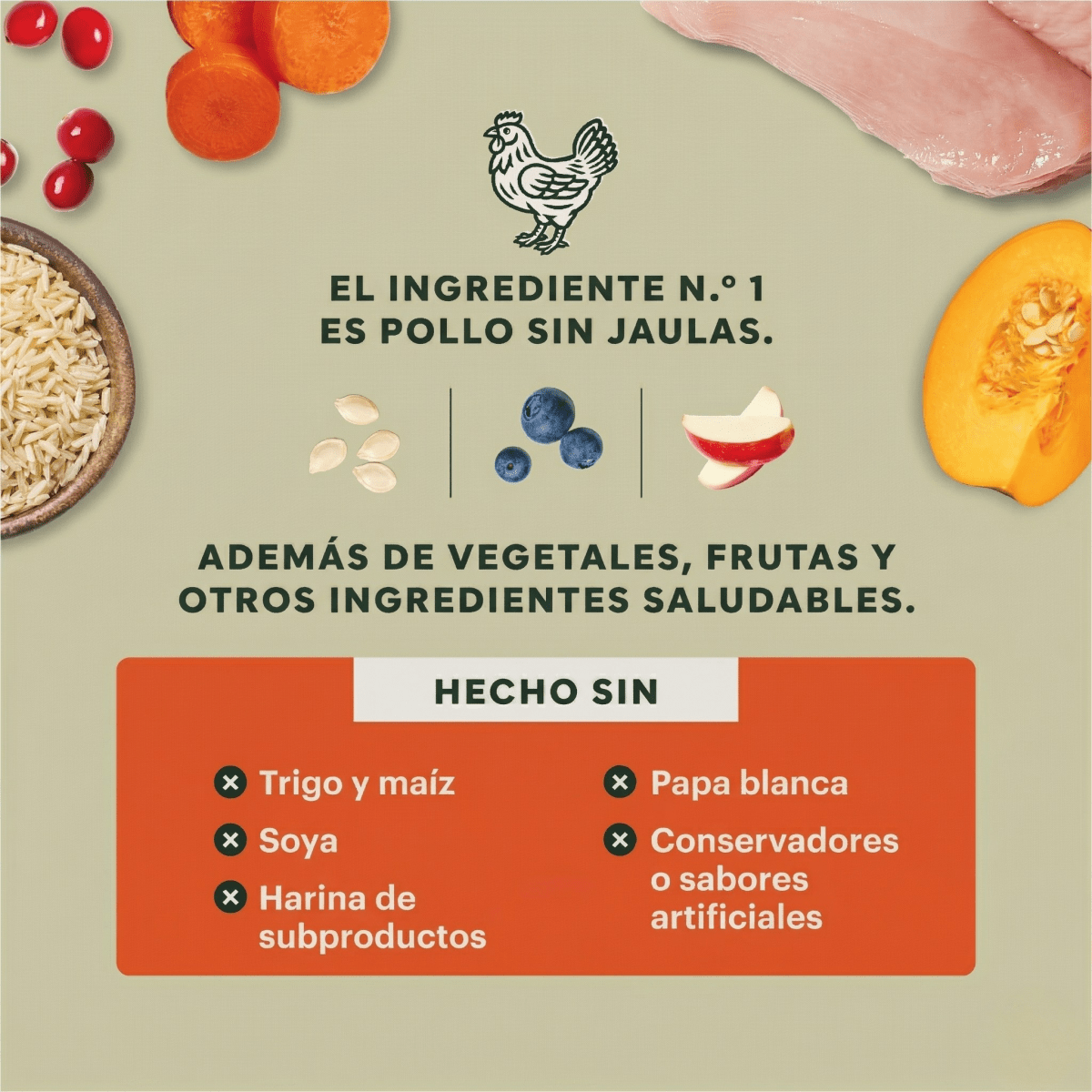 Instinct Raw Boost Gut Health Alimento Seco para Perro Salud Digestiva - Pollo con Probióticos y Granos - 18lb - Instinct México