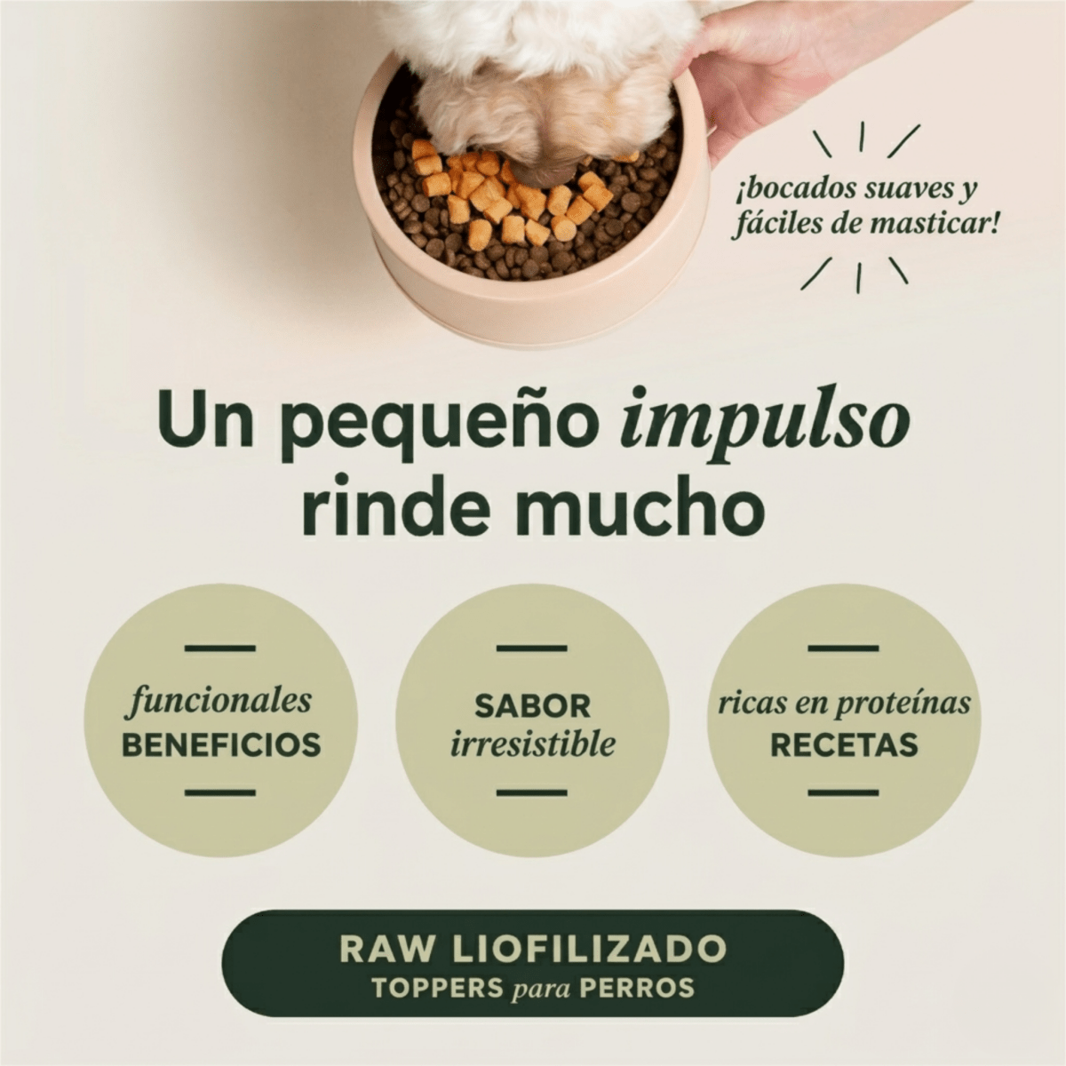 Instinct Raw Boost Mixers Equilibrio Intestinal: Topper Natural Liofilizado para Perro 0.75oz - Instinct México