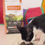 Instinct Original Alimento para Gato, Receta de Salmón
