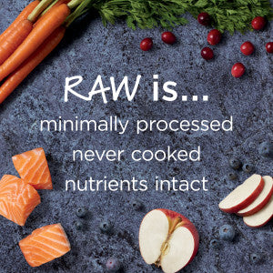 Instinct Raw Boost Salmón Grain Free para Gato, Alimento con Carne Cruda Liofilizada 4.5 lb