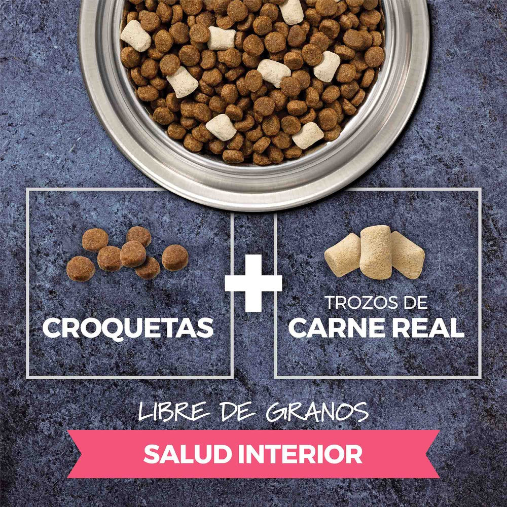 Alimento Para Gatos Instinct Raw Boost Salud Interior, Sabor Pollo Sin Granos. 5 lb