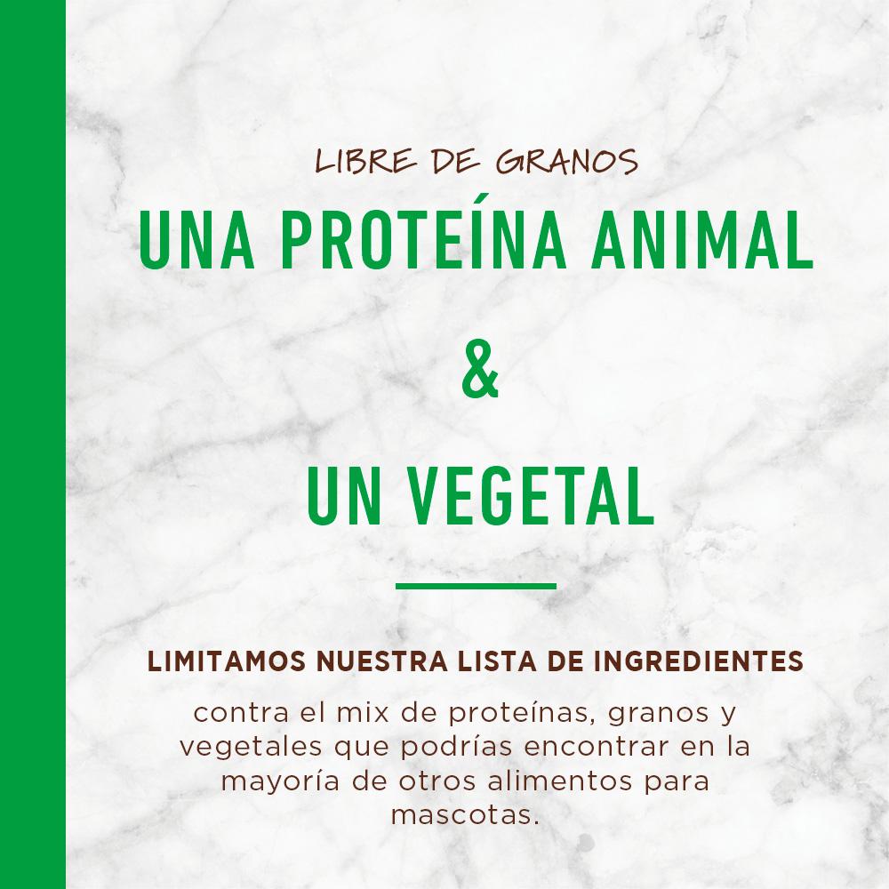 Instinct LID Alimento para Perros con Alergia, Cordero - Instinct México