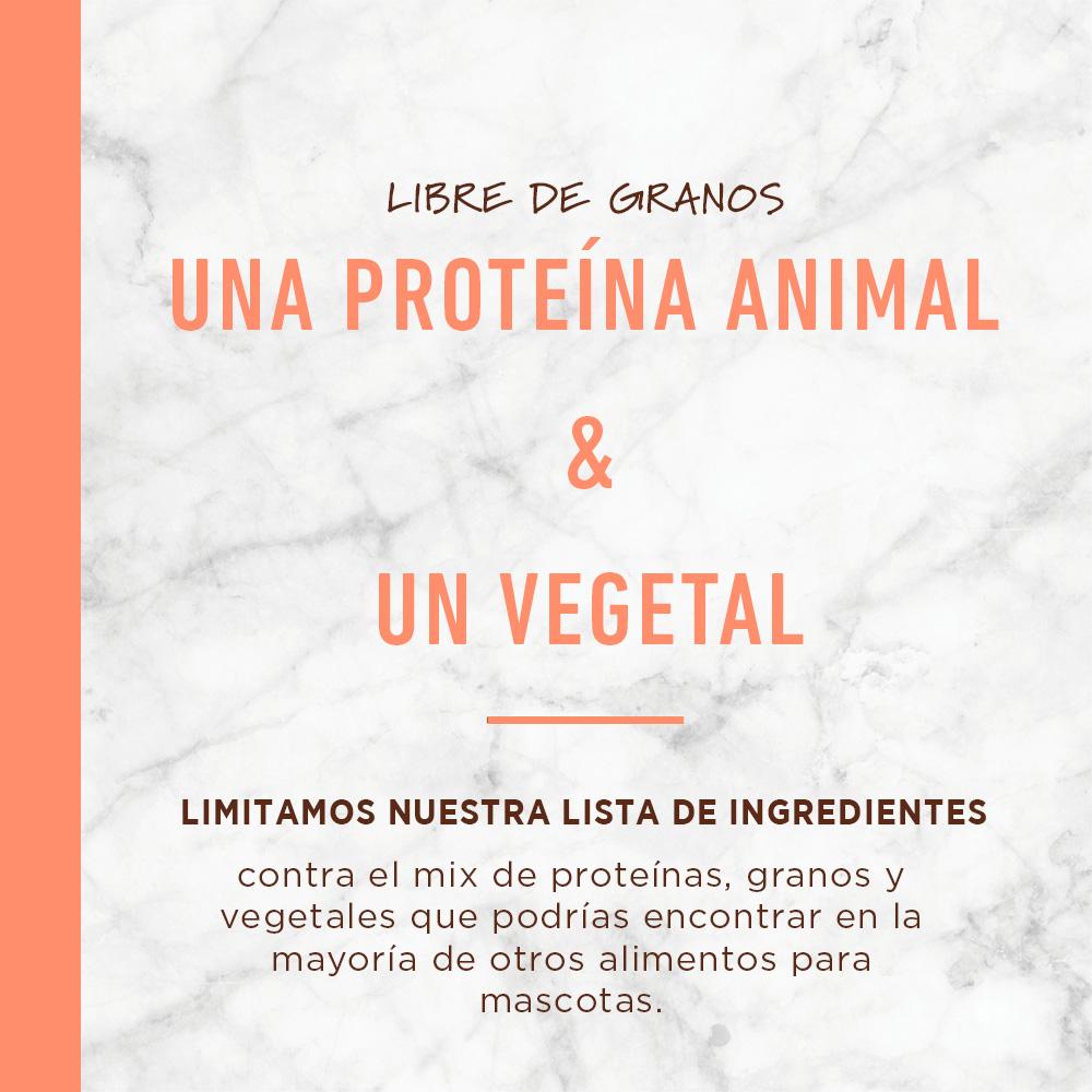 Instinct LID Alimento para Perros con Alergias, Salmón - Instinct México