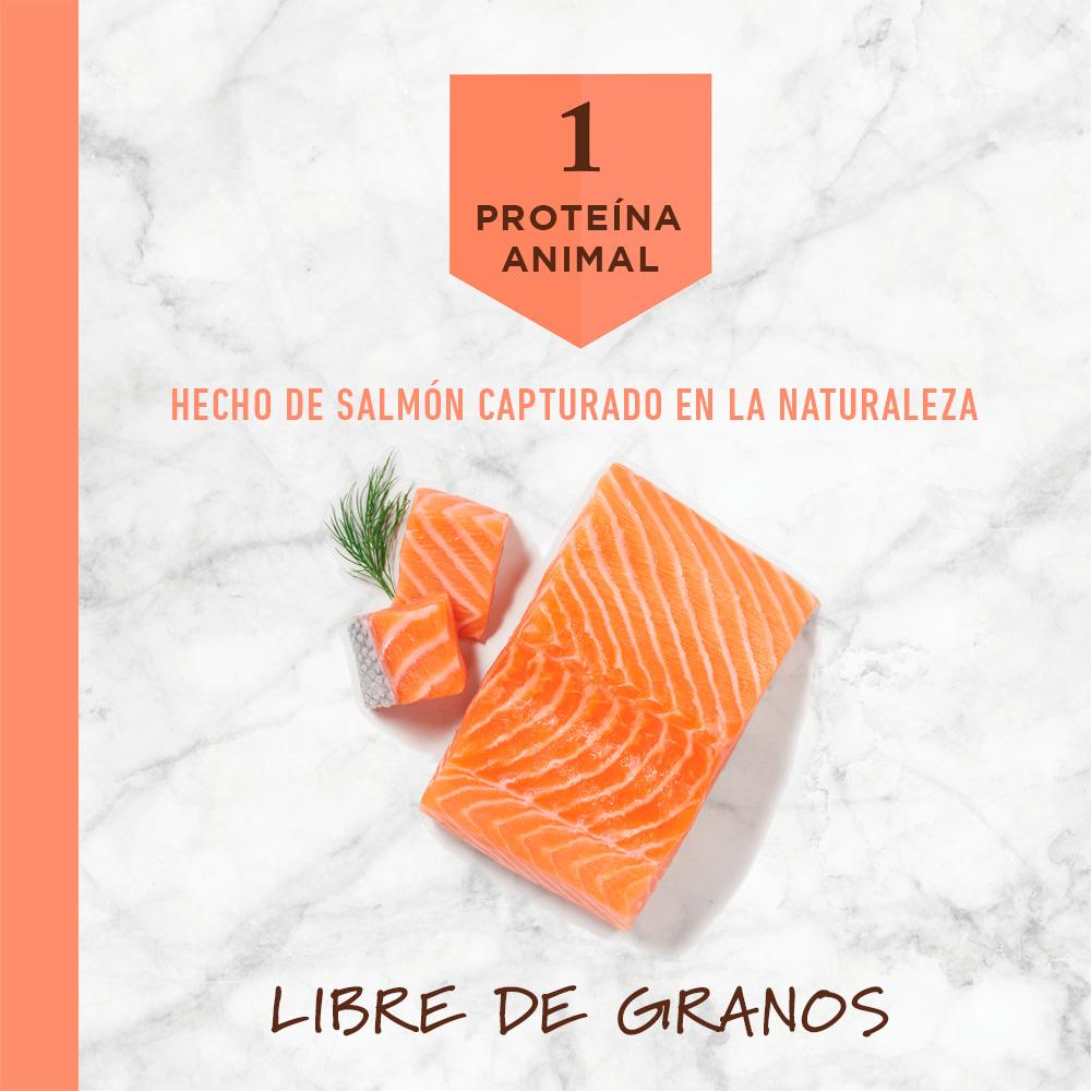 Instinct LID Alimento para Perros con Alergias, Salmón - Instinct México